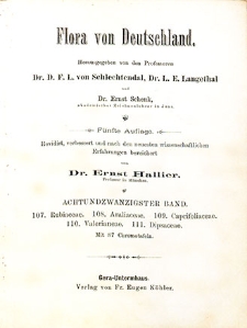 Flora von Deutschland. Band 28: Rubiaceae, Araliaceae, Caprifoliaceae, Valerianeae, Dipsaceae