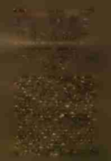 Przegląd Dentystyczny : miesięcznik poświęcony chorobom zęb&oacute;w i jamy ustnej 1898 R. I nr 3