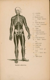 Pielęgnowanie zdrowia : książeczka dla wszystkich / opracował podług wzoru "Gesundheitsb&uuml;chlein" Seweryn Sterling